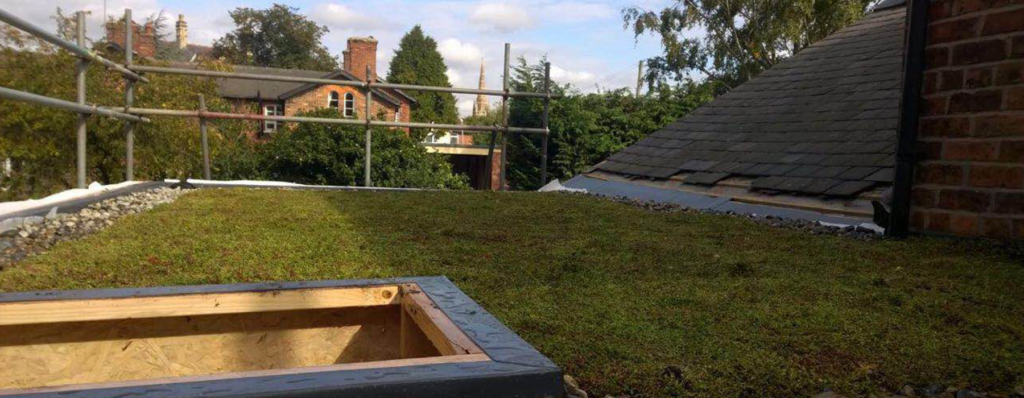 green-roof-installation