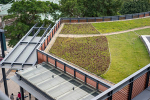 green roof